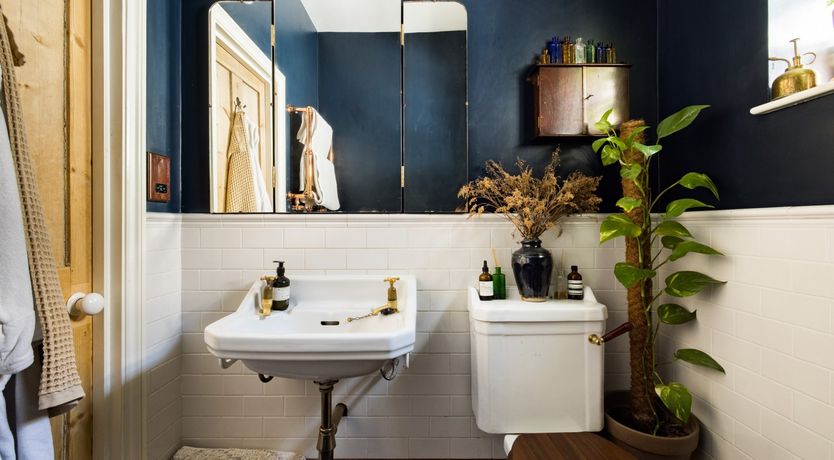 Photo of Retro Oasis