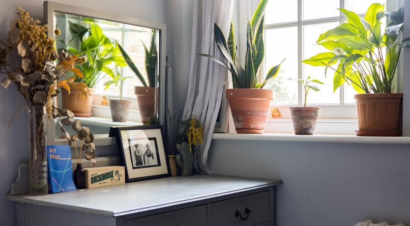 Photo of Retro Oasis