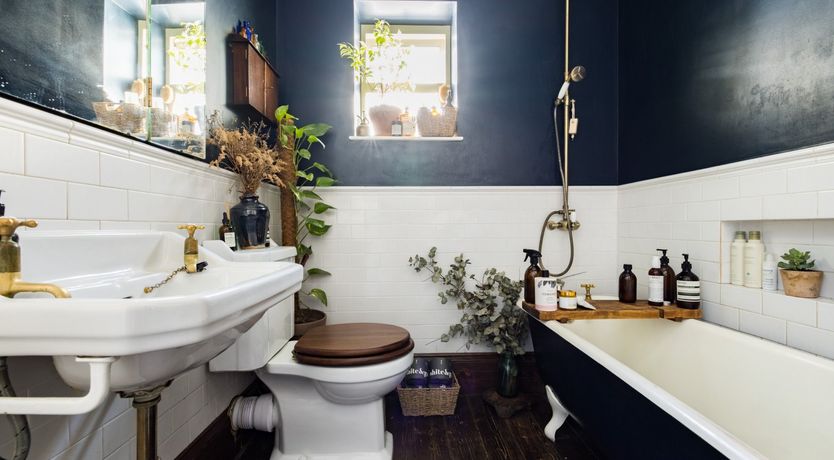 Photo of Retro Oasis