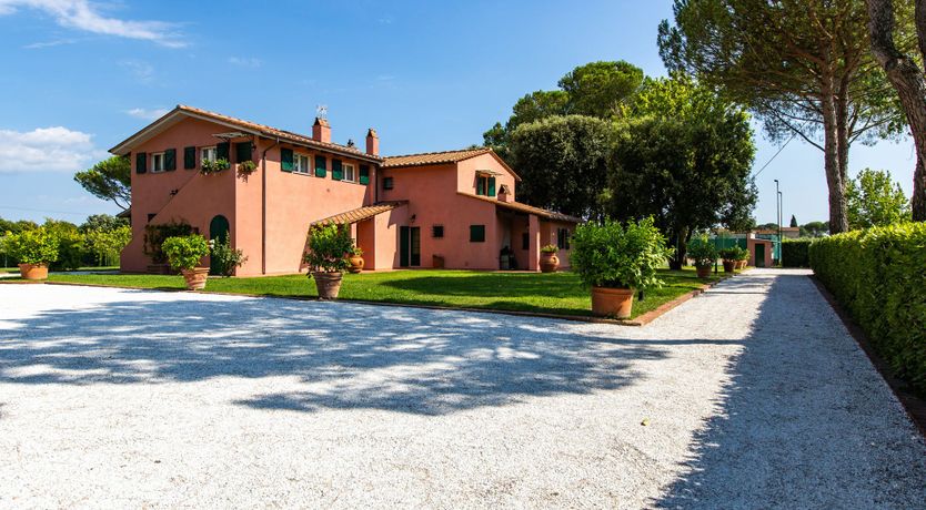 Photo of A Little Horse Play