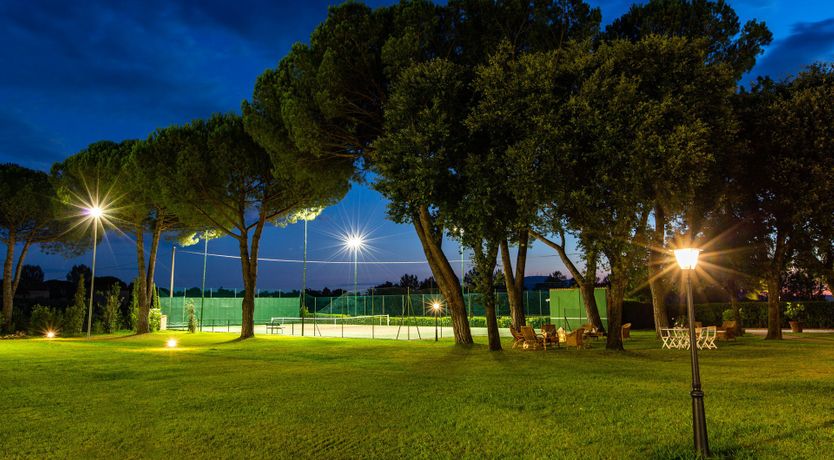 Photo of A Little Horse Play