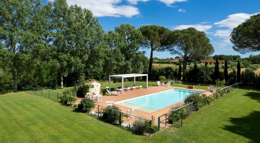 Photo of A Little Horse Play