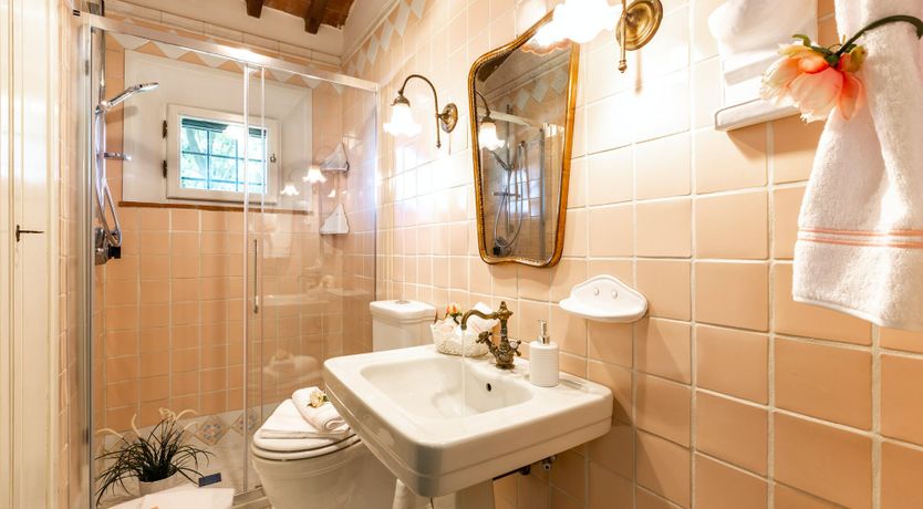 Photo of A Little Horse Play