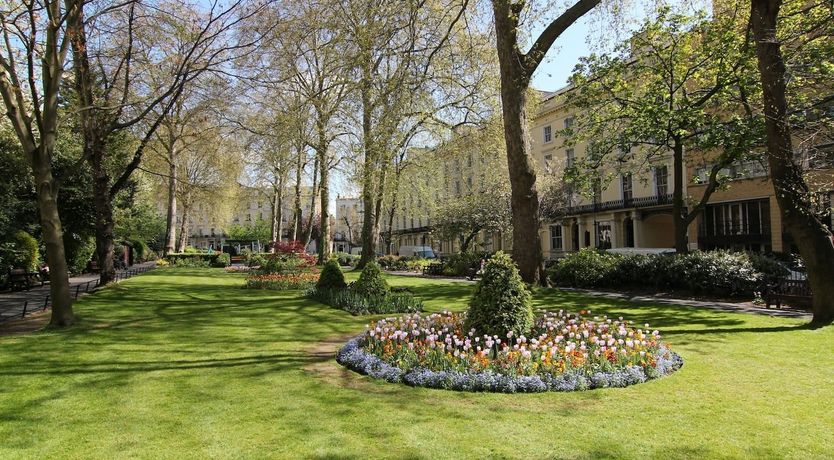 Photo of A Touch of Plum