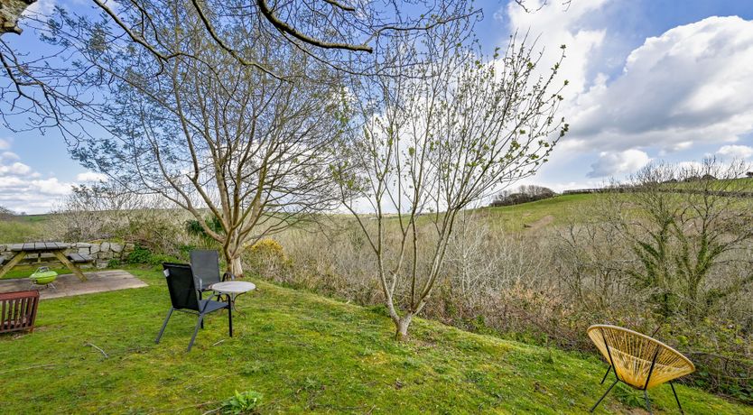 Photo of Musician's Escape