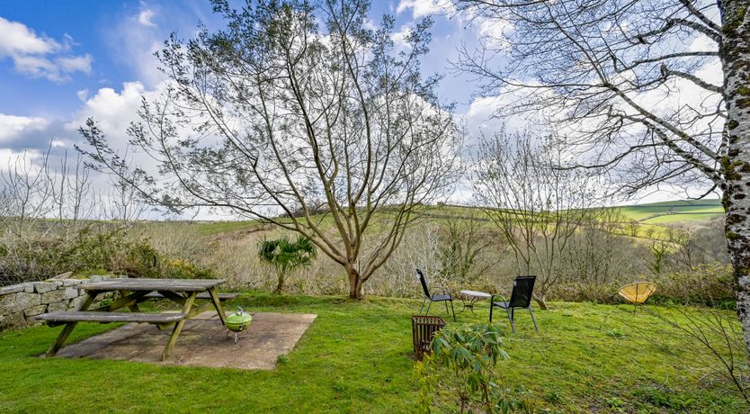 Photo of Musician's Escape