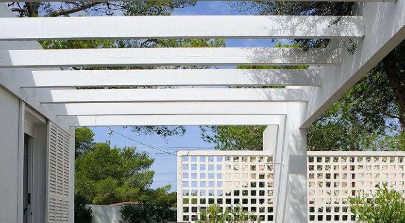 Photo of Mid-Century Dream