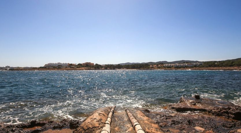 Photo of Mid-Century Dream