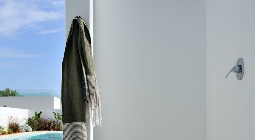 Photo of Mid-Century Dream