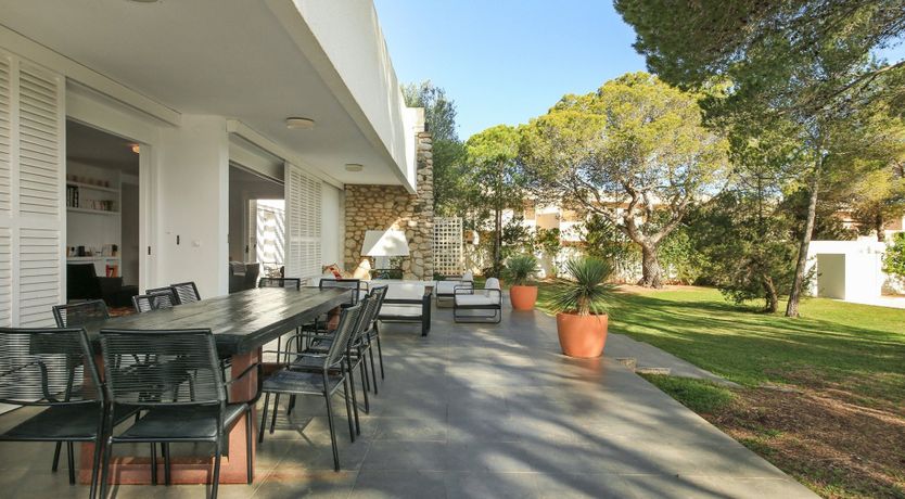 Photo of Mid-Century Dream