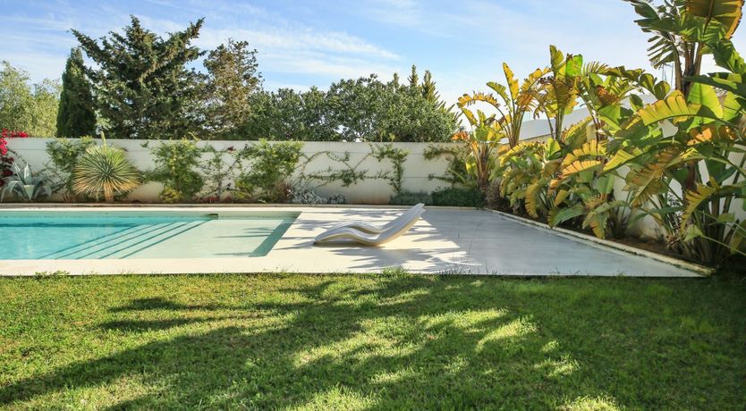 Photo of Mid-Century Dream