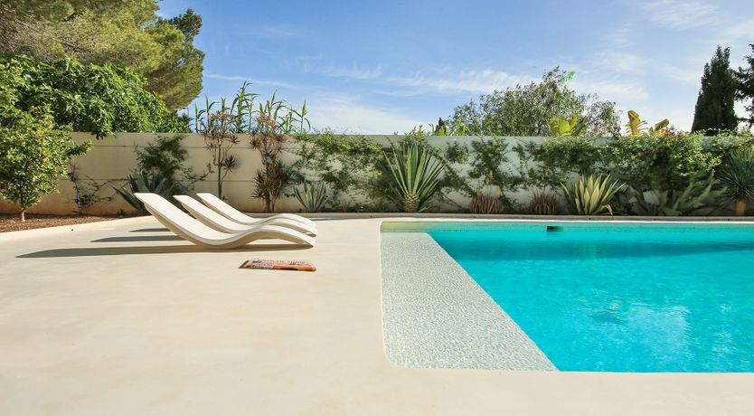 Photo of Mid-Century Dream