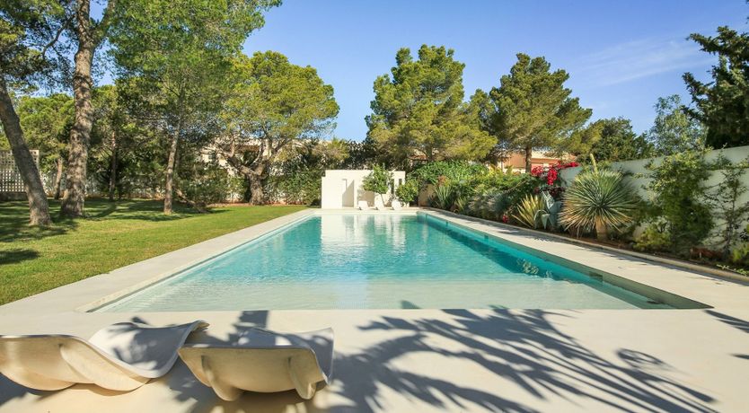 Photo of Mid-Century Dream