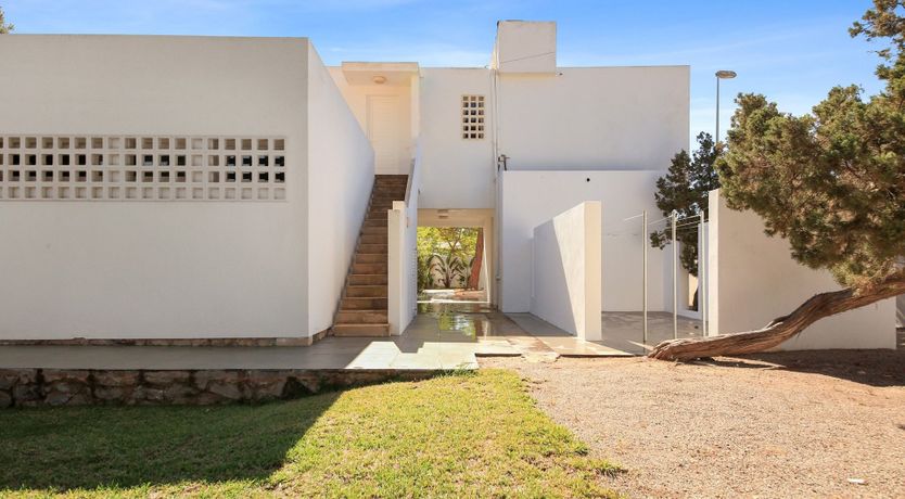 Photo of Mid-Century Dream