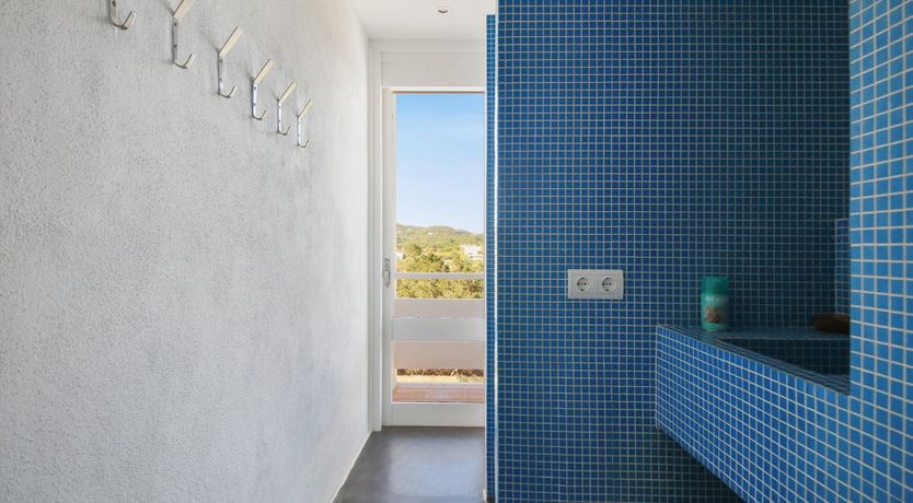 Photo of Mid-Century Dream