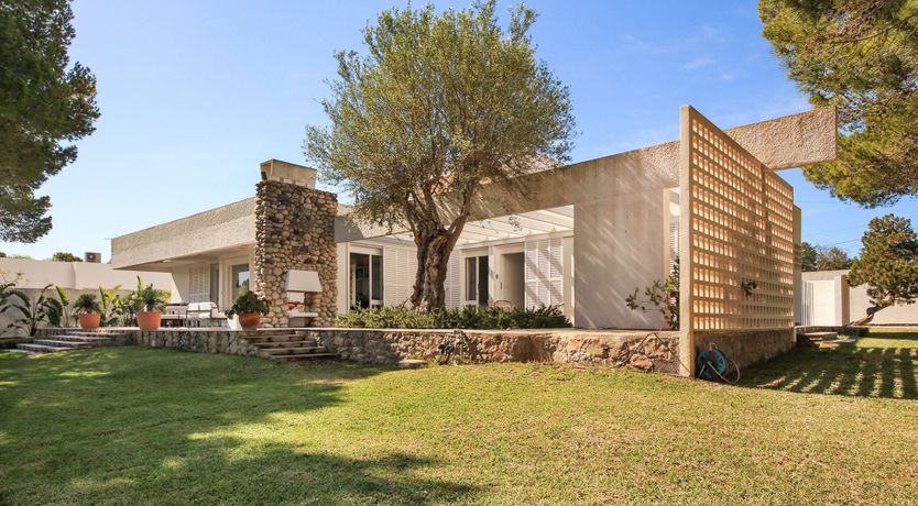 Photo of Mid-Century Dream