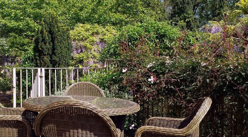 Photo of Hanging Wisteria