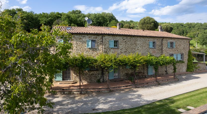 Photo of Forza Arezzo