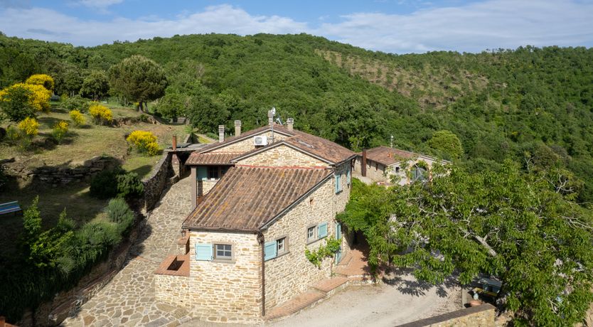 Photo of Forza Arezzo