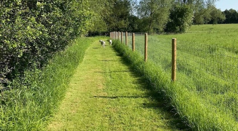 Photo of Butterfly Barn
