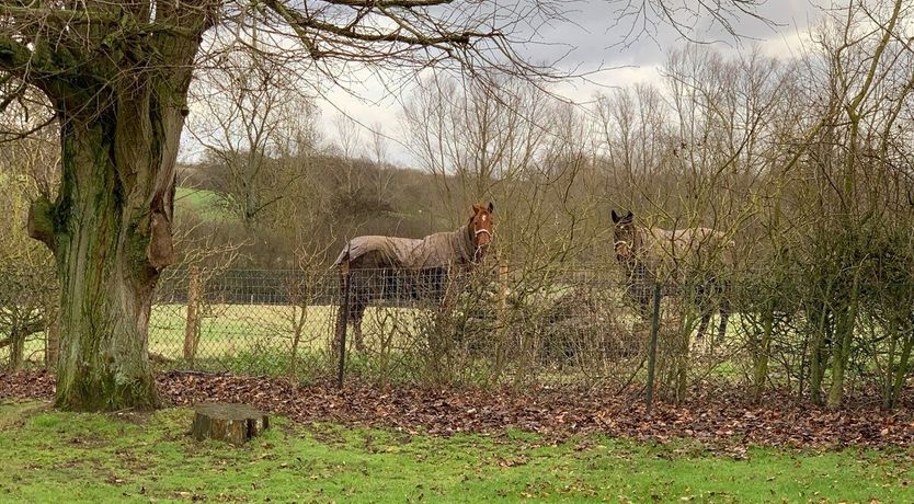 Photo of Butterfly Barn