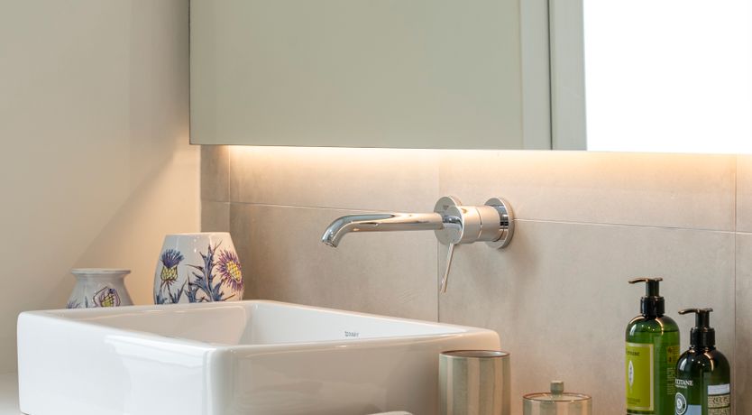 Photo of Black Orchid