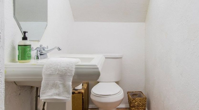 Photo of Orchid White