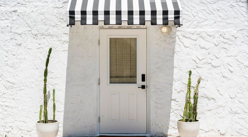 Photo of Orchid White