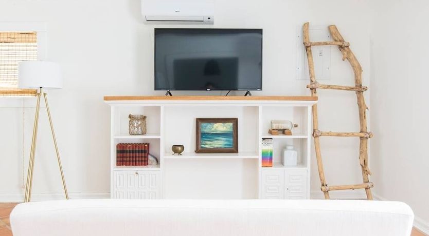 Photo of Orchid White