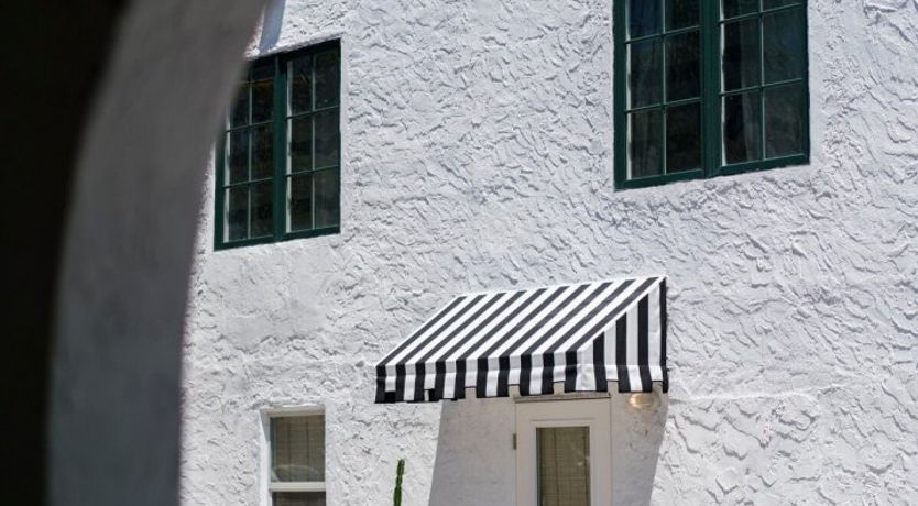 Photo of Orchid White