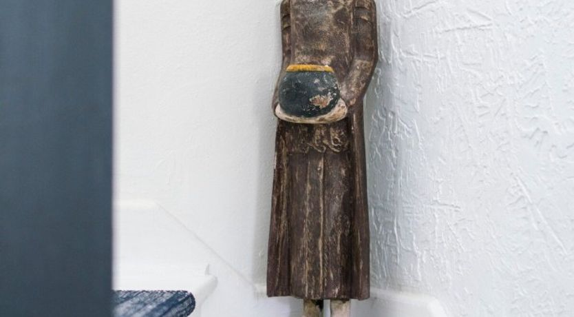 Photo of Orchid White