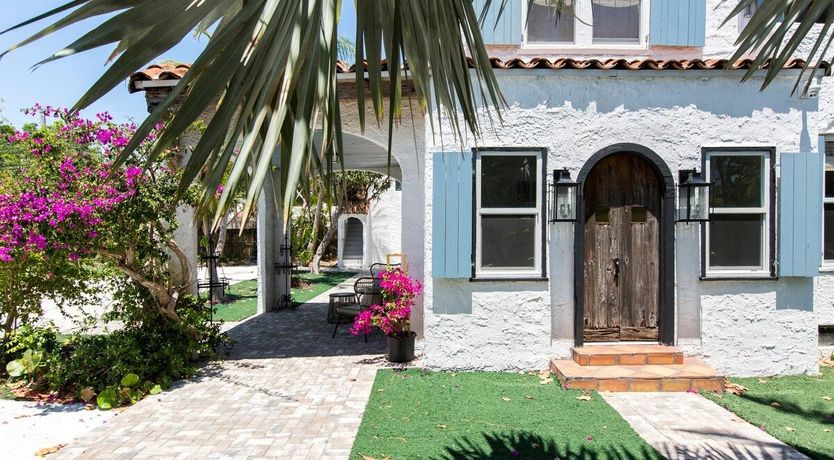 Photo of Orchid White