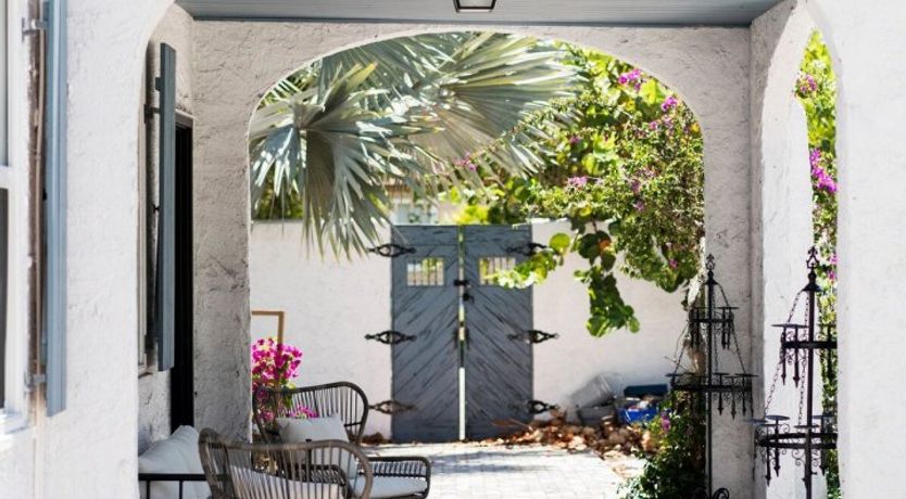 Photo of Orchid White