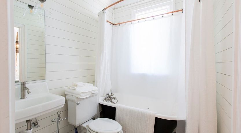 Photo of Orchid White