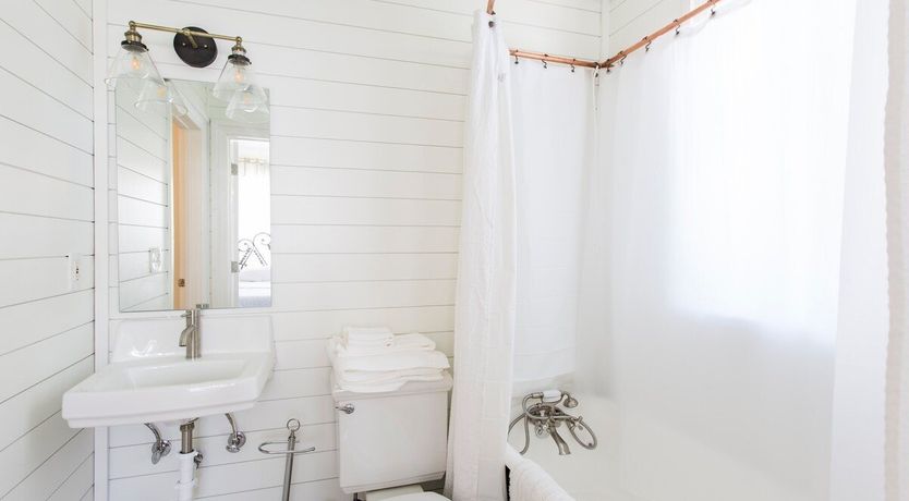 Photo of Orchid White