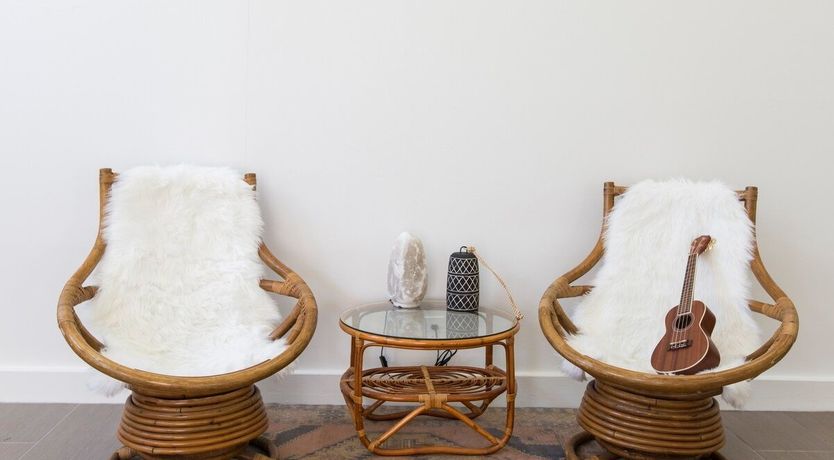 Photo of Orchid White