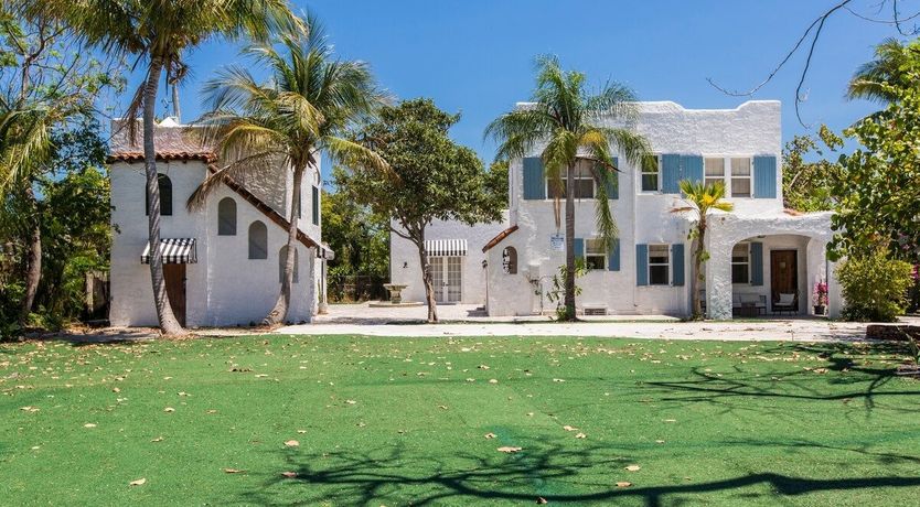 Photo of Orchid White