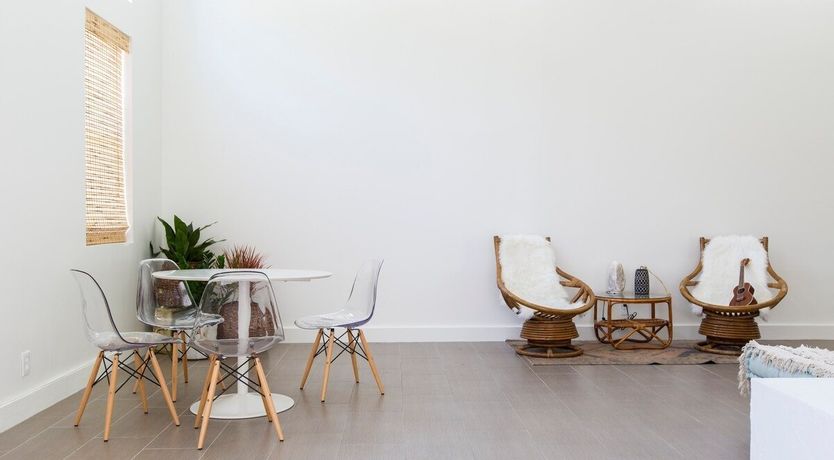 Photo of Orchid White