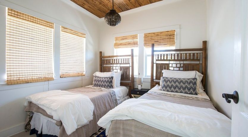 Photo of Orchid White