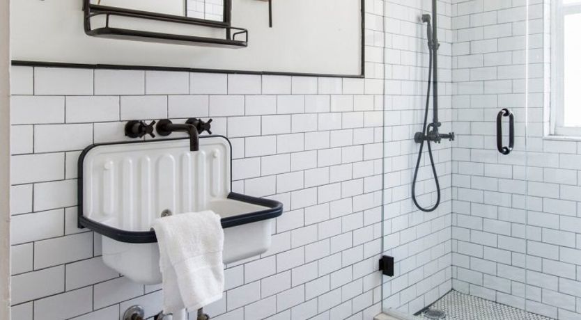 Photo of Orchid White