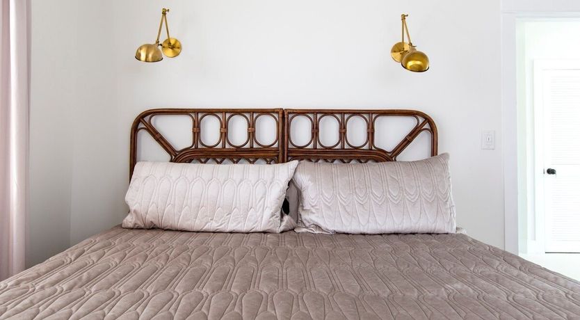 Photo of Orchid White