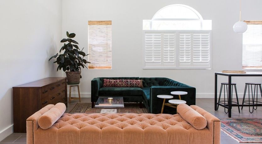 Photo of Orchid White