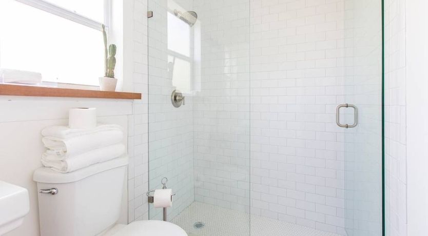 Photo of Orchid White