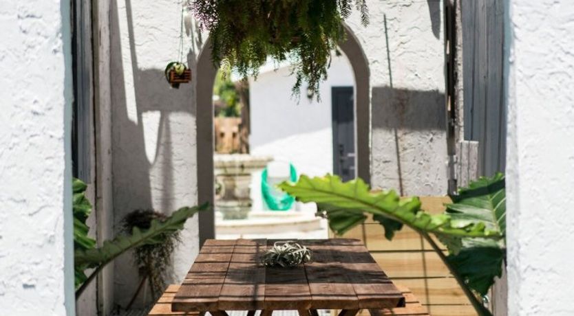 Photo of Orchid White