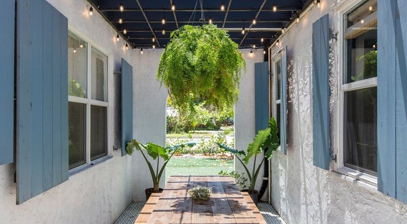 Photo of Orchid White