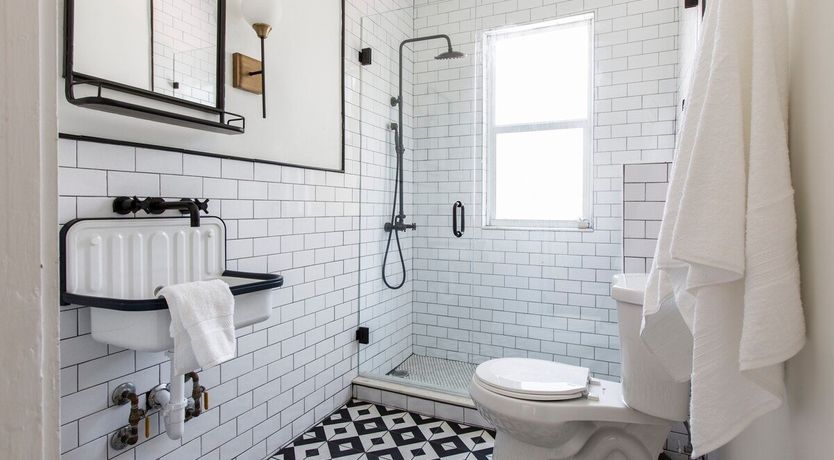 Photo of Orchid White