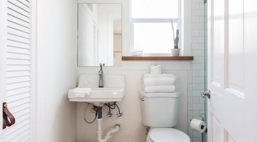 Photo of Orchid White