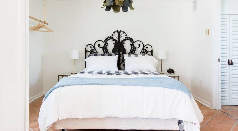 Photo of Orchid White