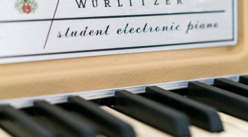 Photo of Orchid White