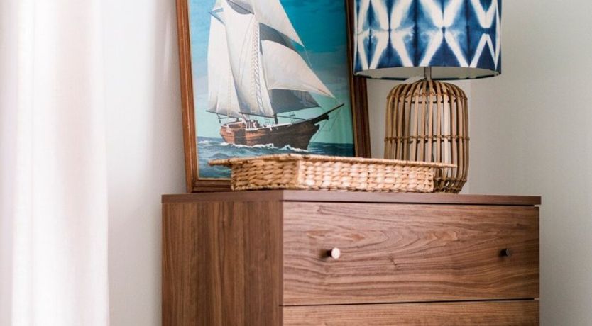 Photo of Orchid White